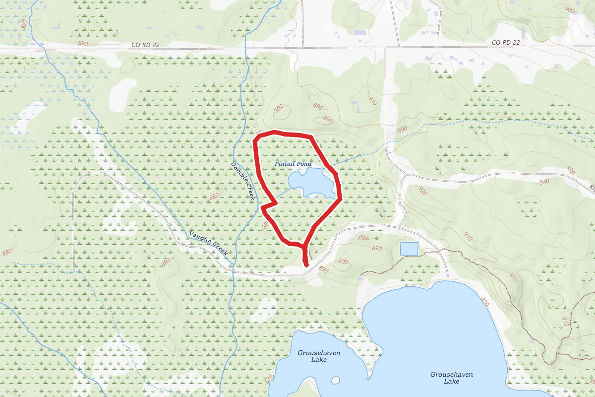 Pintail Pond Nature Trail