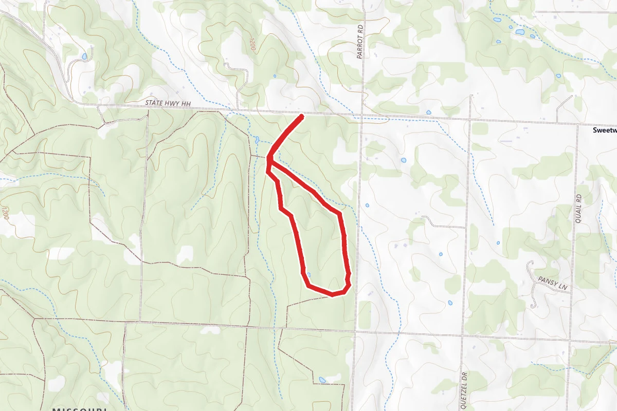 Gibson Spring Loop