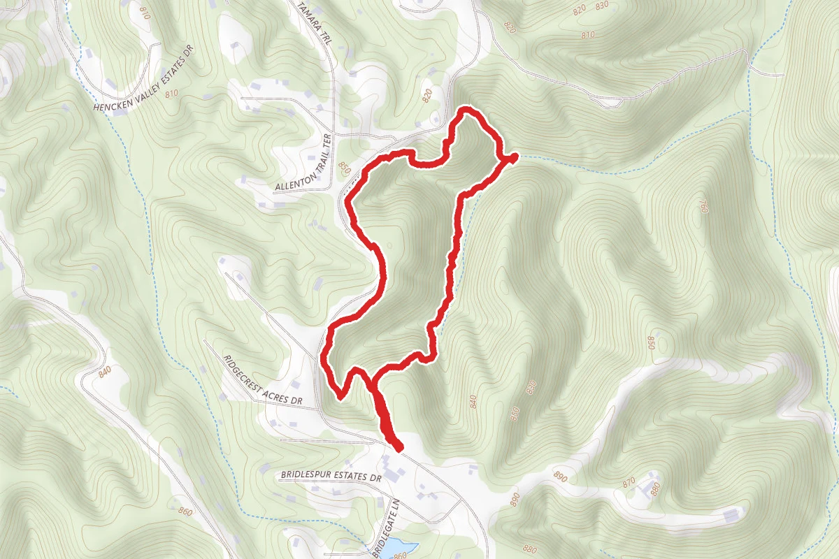 Mustang Trail