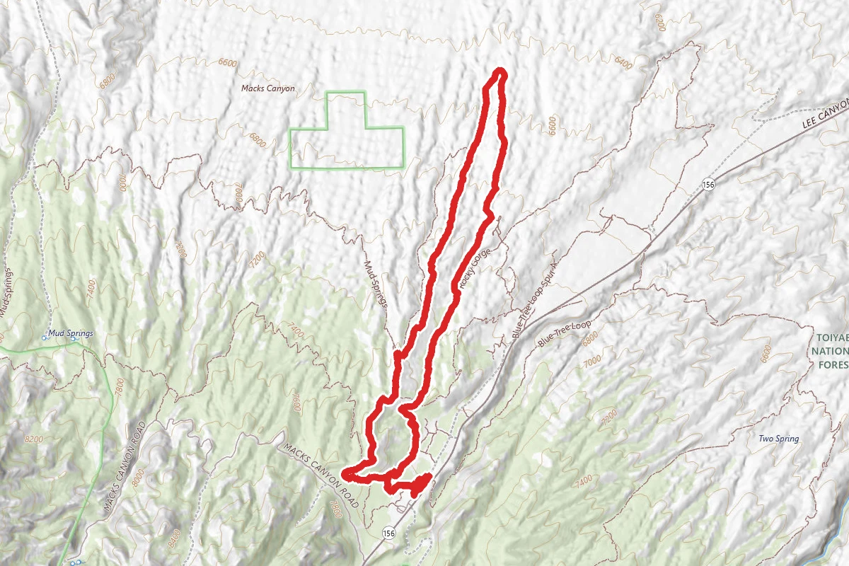 Pinyon Pine Trail