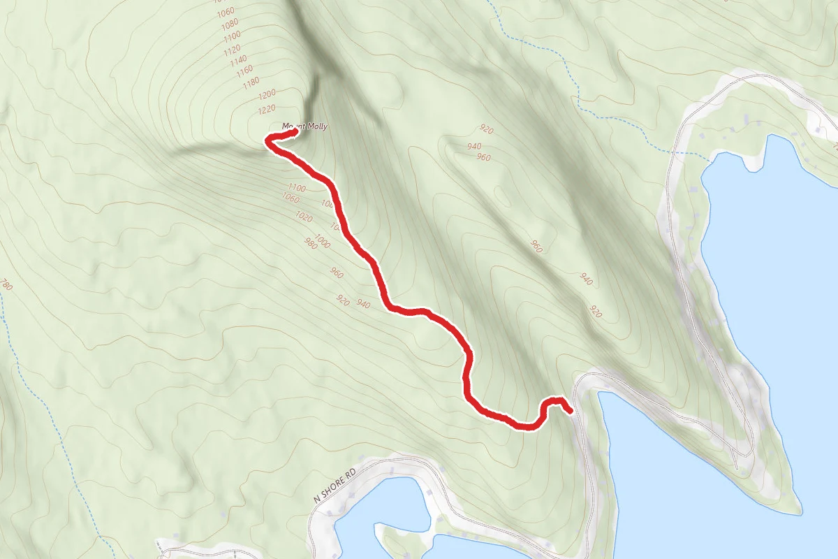 Mount Molly Trail