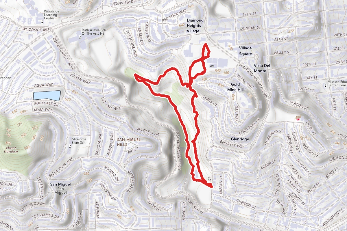 Glen Canyon Park Trail