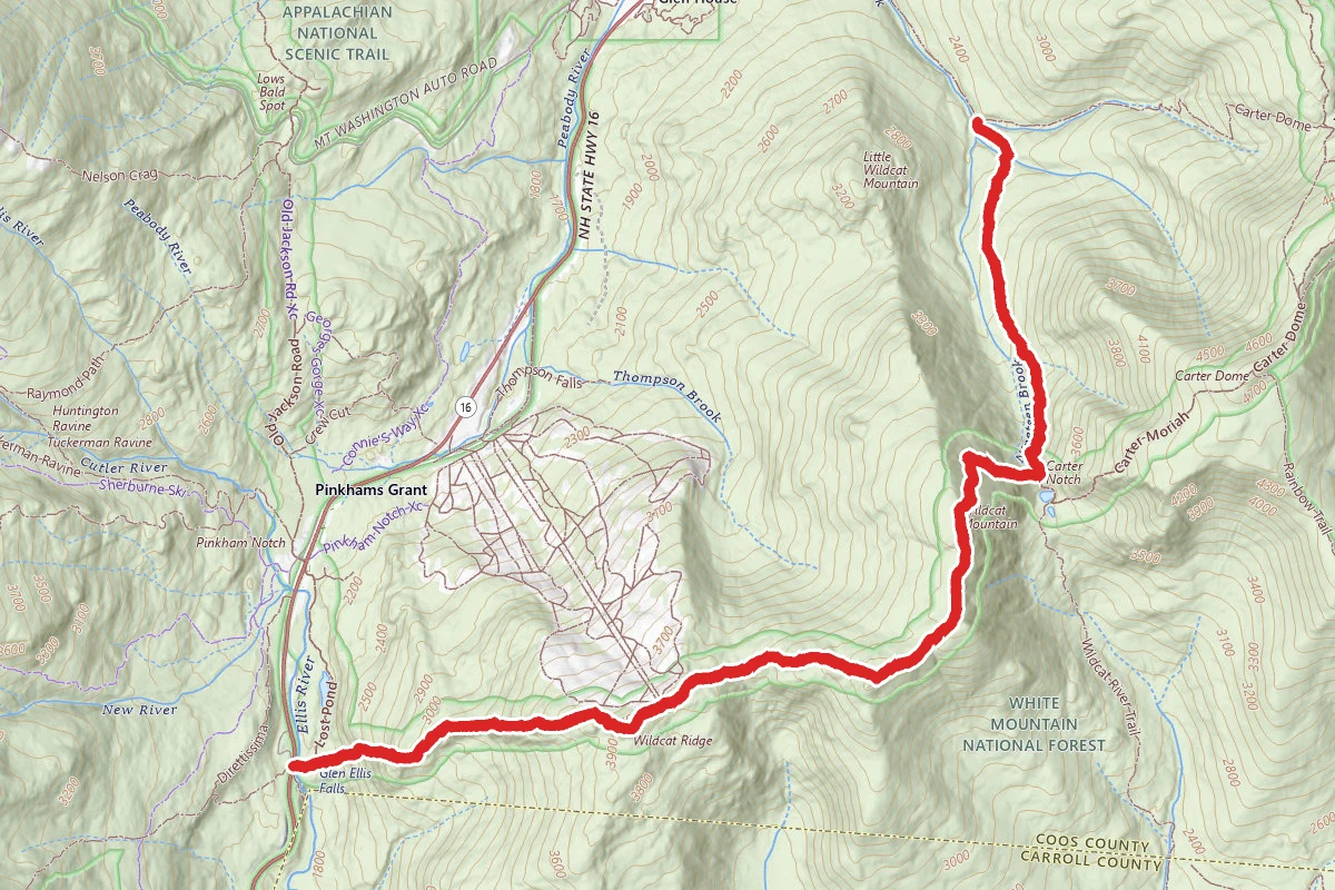 Little Wildcat Mountain Trail