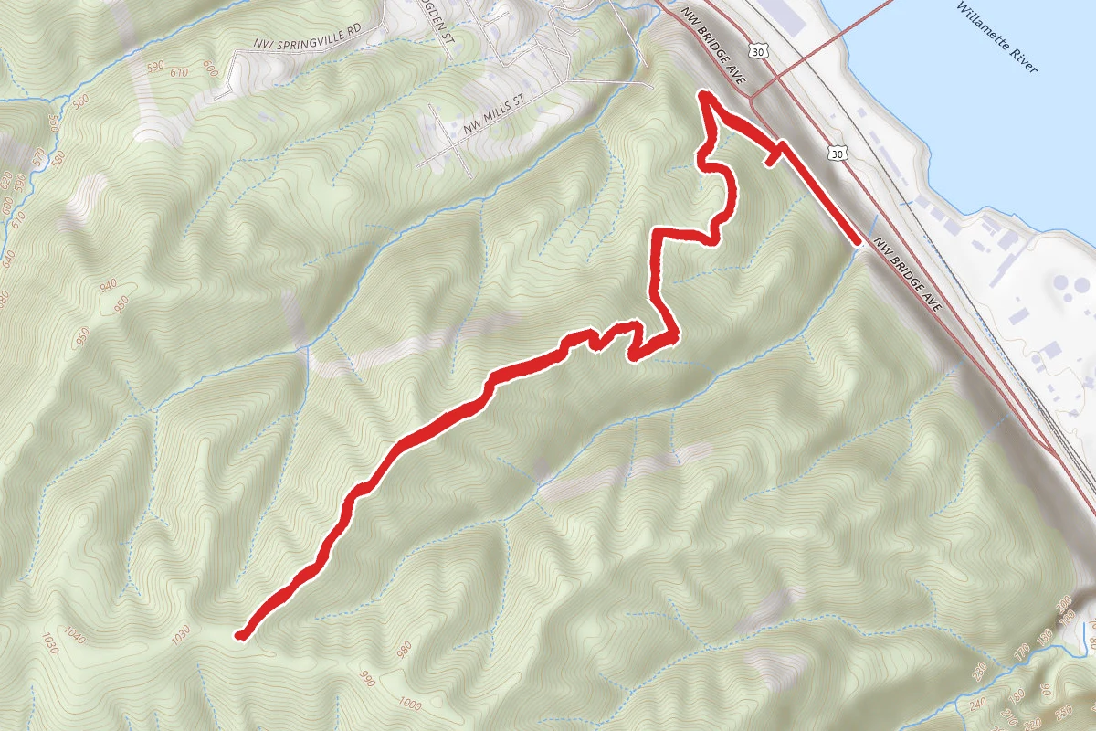 Forest Park Ridge Trail