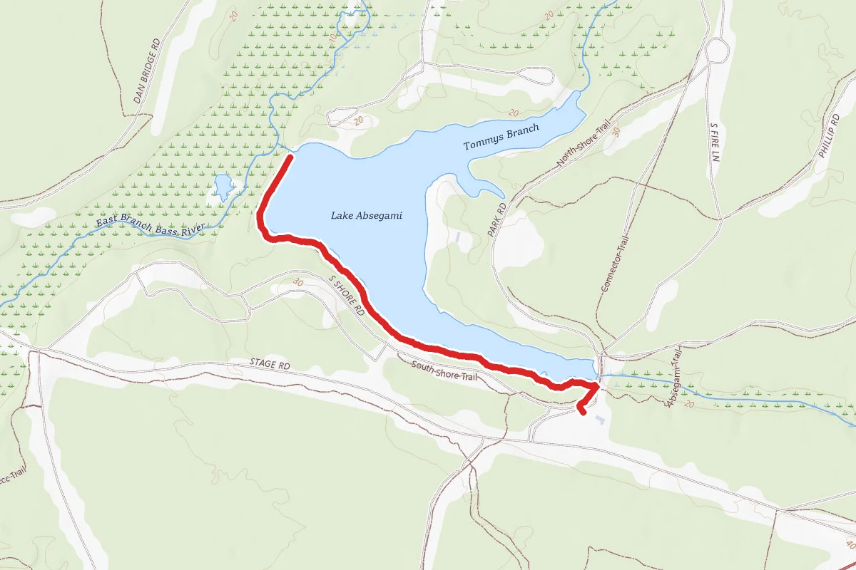 Lake Absegami via Joe's Trail