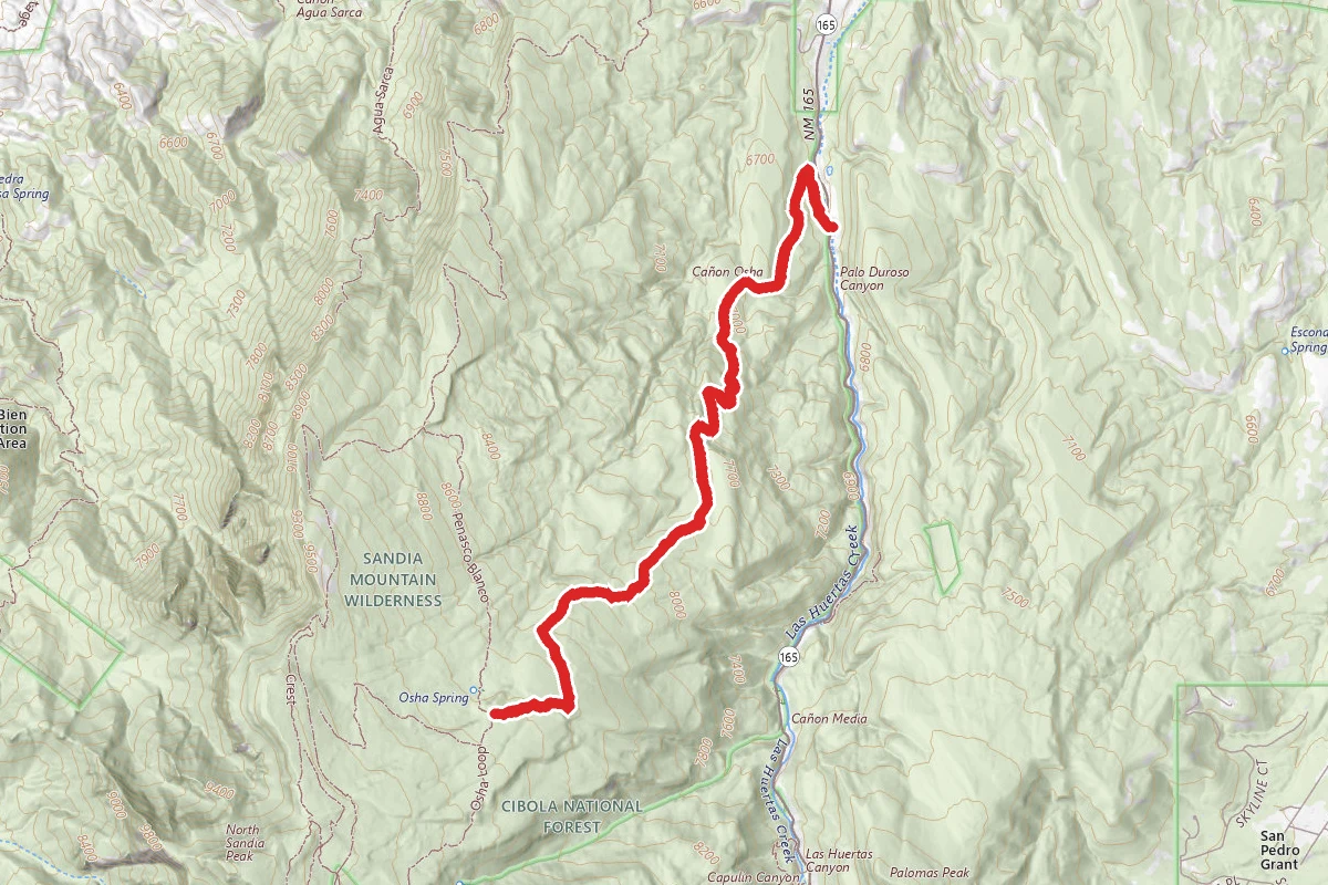 Osha Spring Trail
