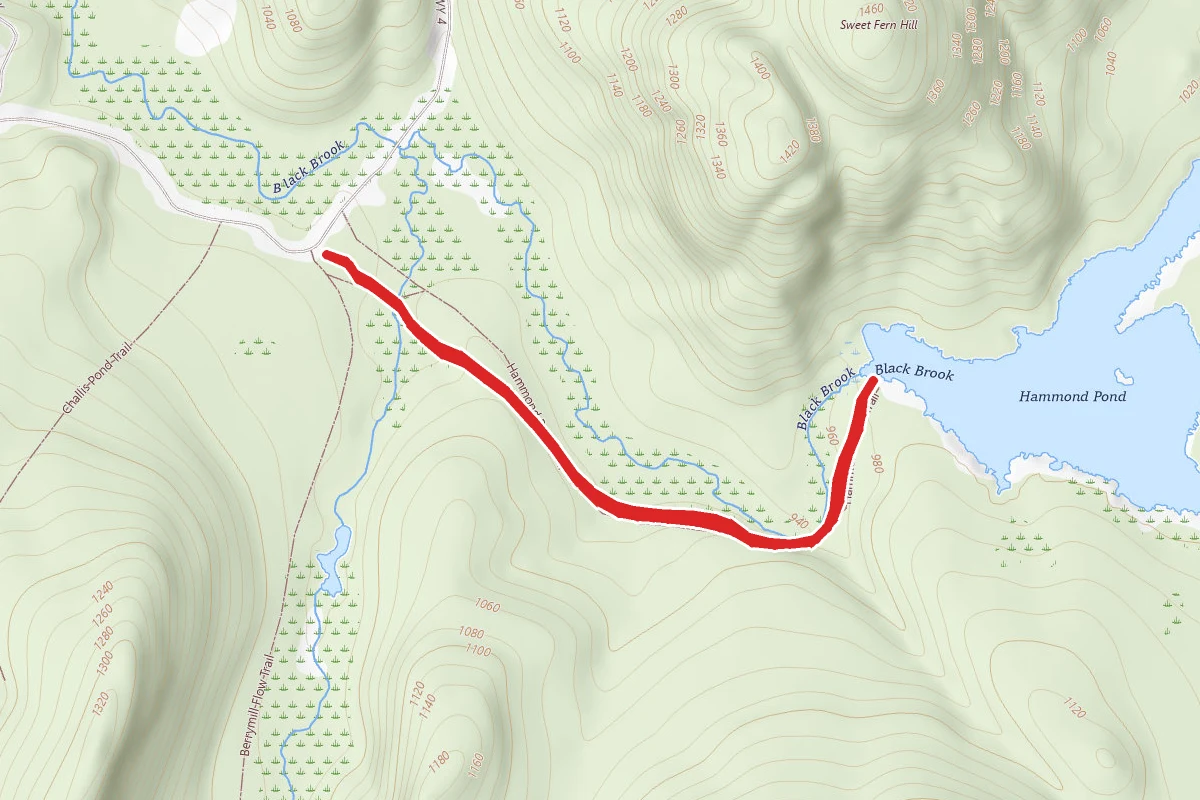 Hammond Pond Trail