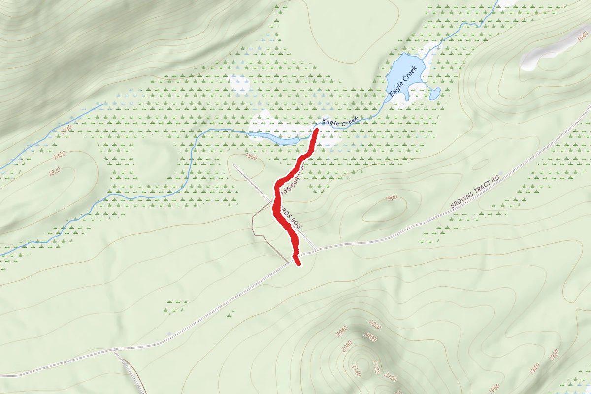 Ferd's Bog Trail