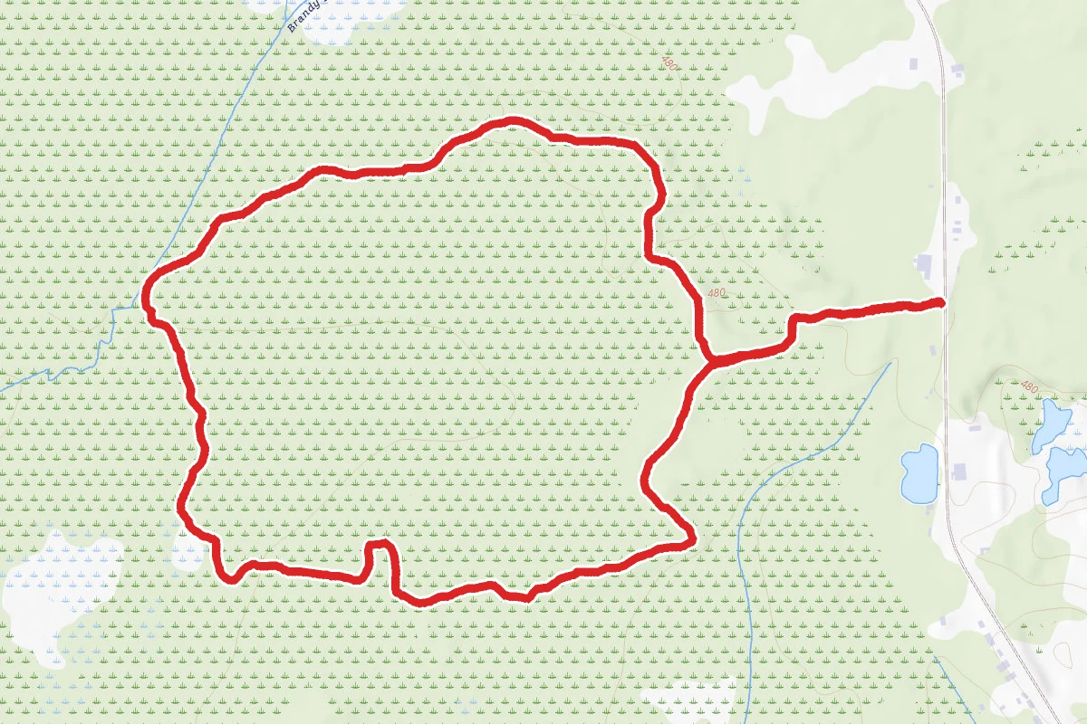 Pitch Pine Bog Conservation Area Nature Trail