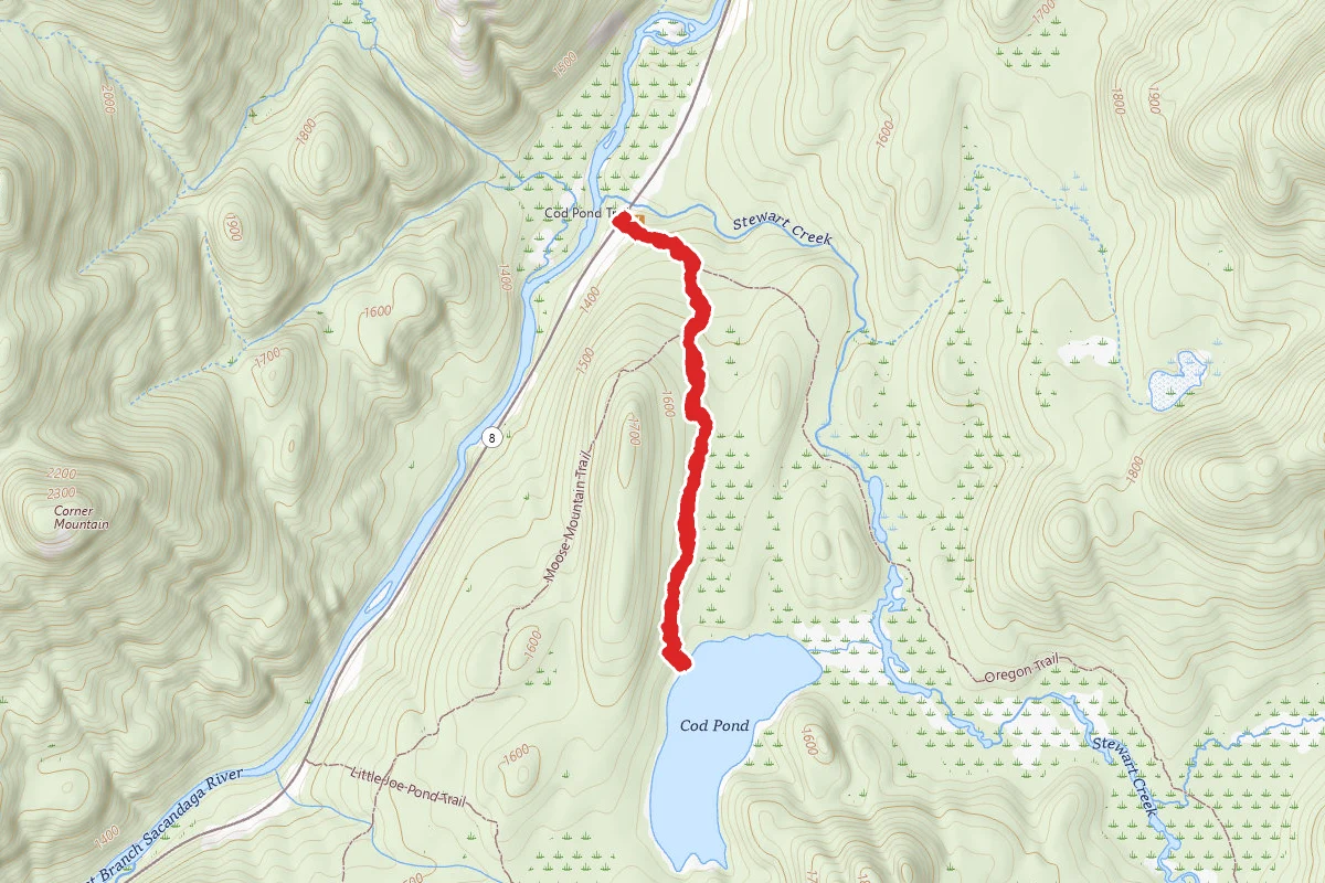 Cod Pond Trail
