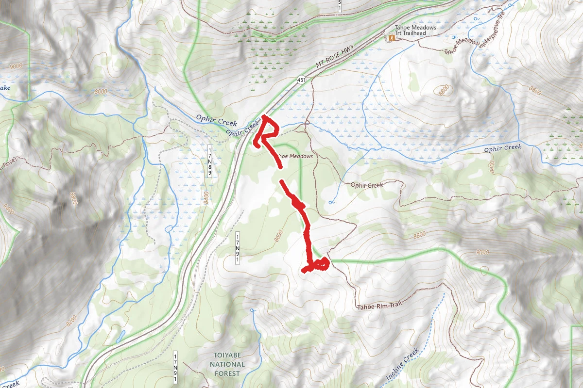 Chickadee Ridge
