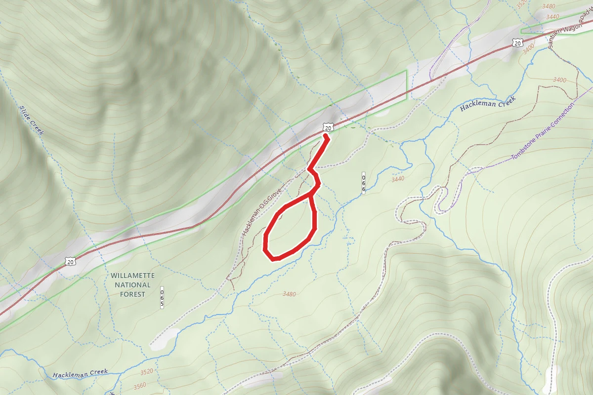 Hackleman Creek Old-Growth Trail