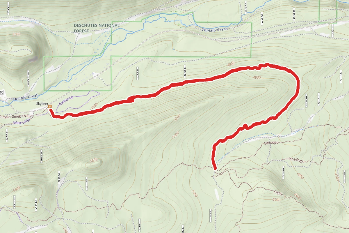 Skyliners Trail