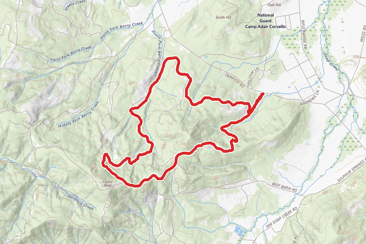 300, 112, 131, Scout Trail, 200, and 320 Trails Loop