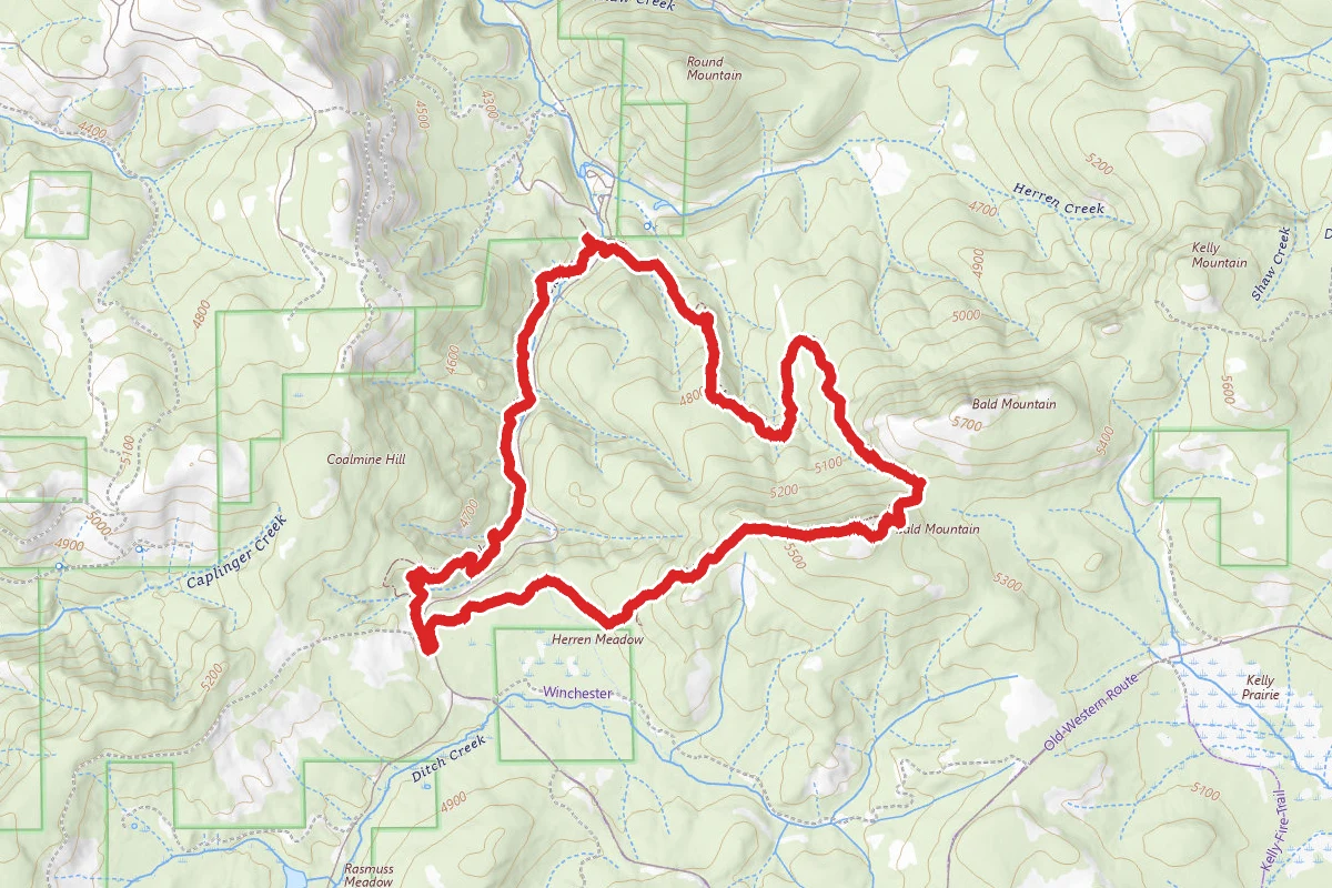 Willow Creek Trail No. 3063 and Bald Mt Trail No. 3058