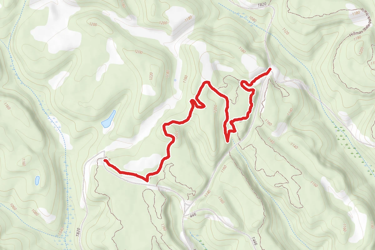 Abby’s Trail