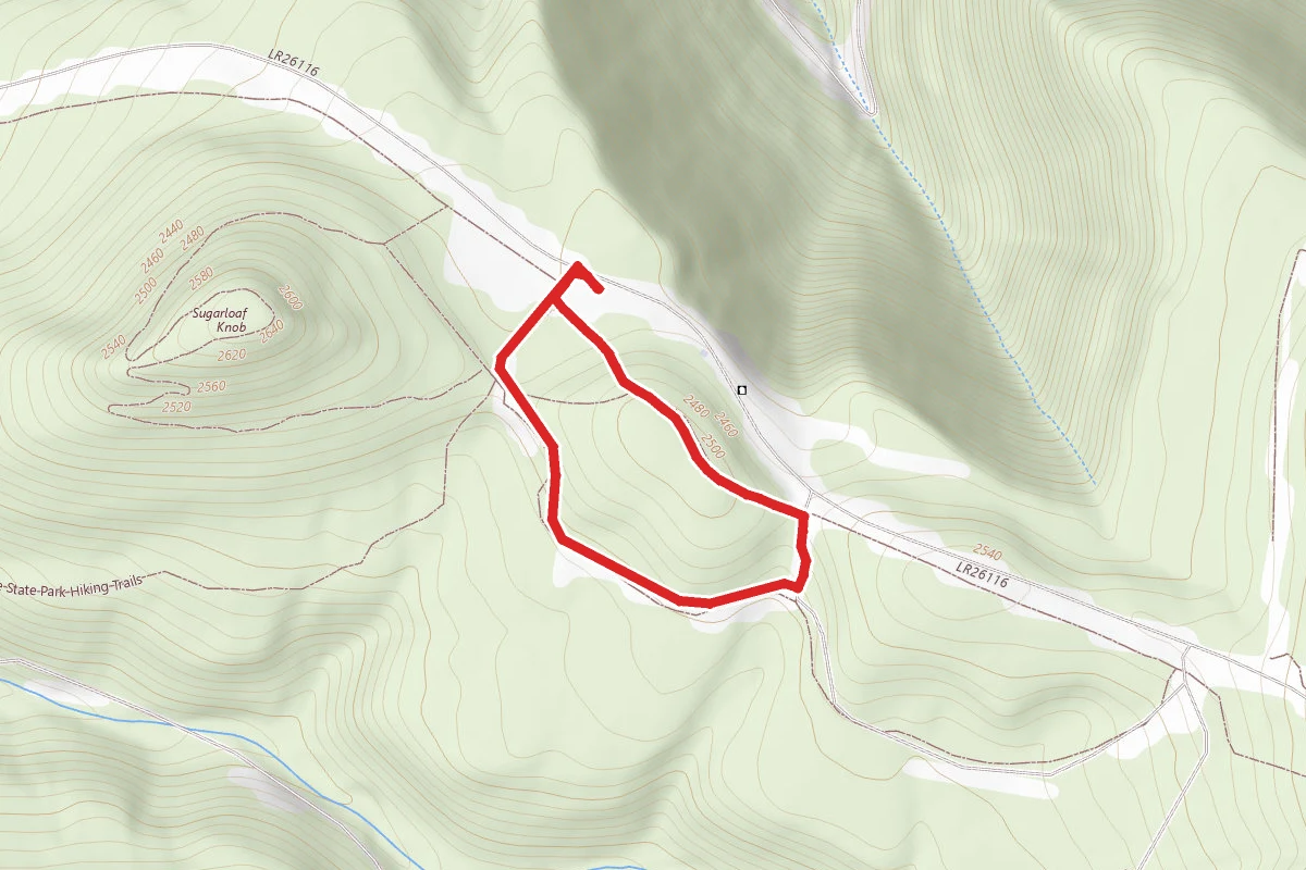 Sugarloaf Surprise Trail