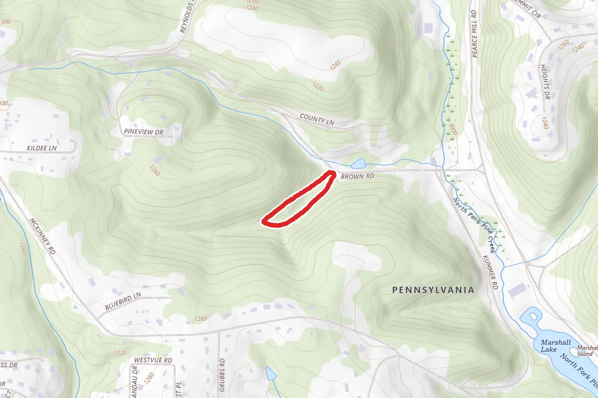 Braille Trail Loop