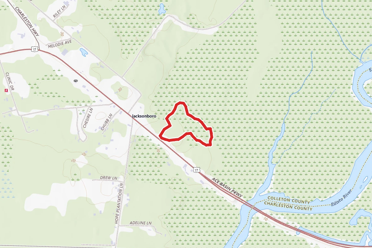 Edisto Nature Trail