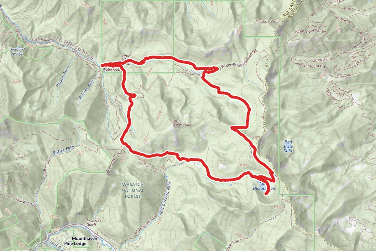 Desolation Lake Loop via Little Water Trail to Old Red Pine Road