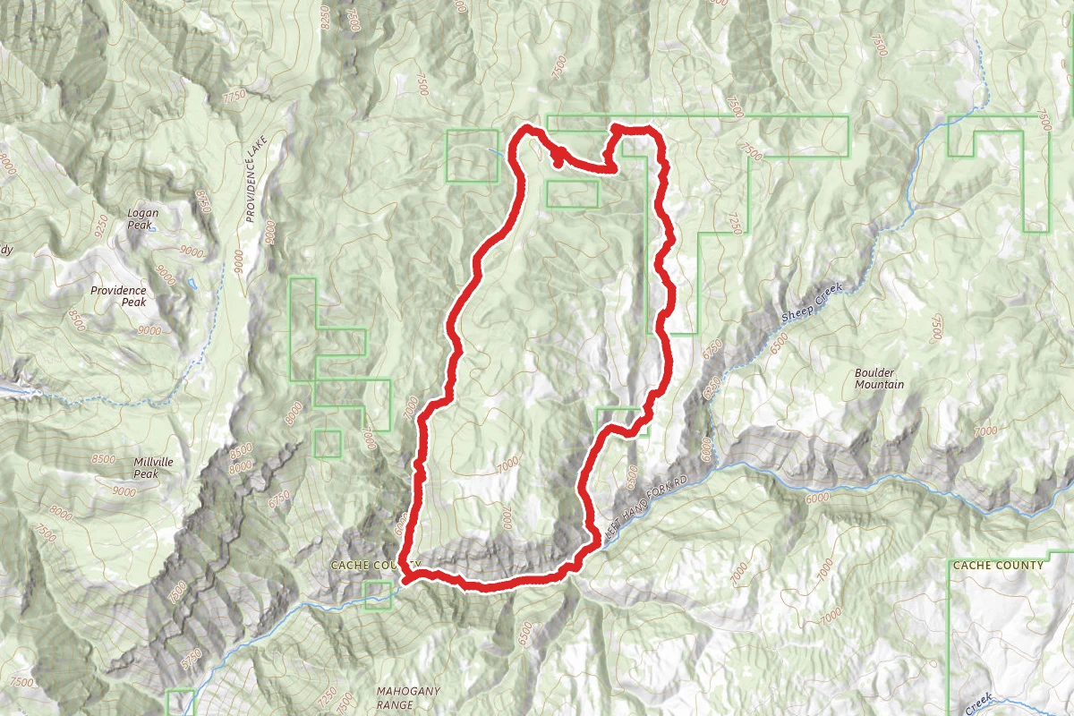 Herd Hollow - Richards Hollow Loop Trail