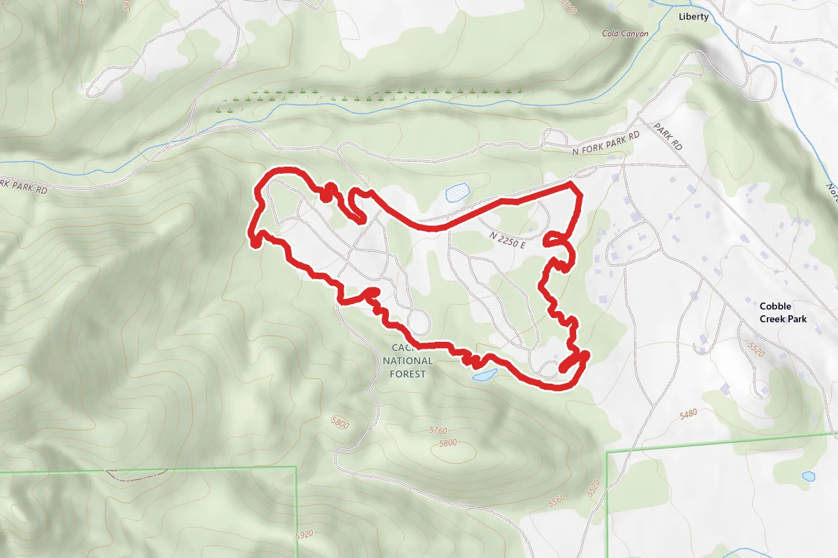 Trail 365 Loop