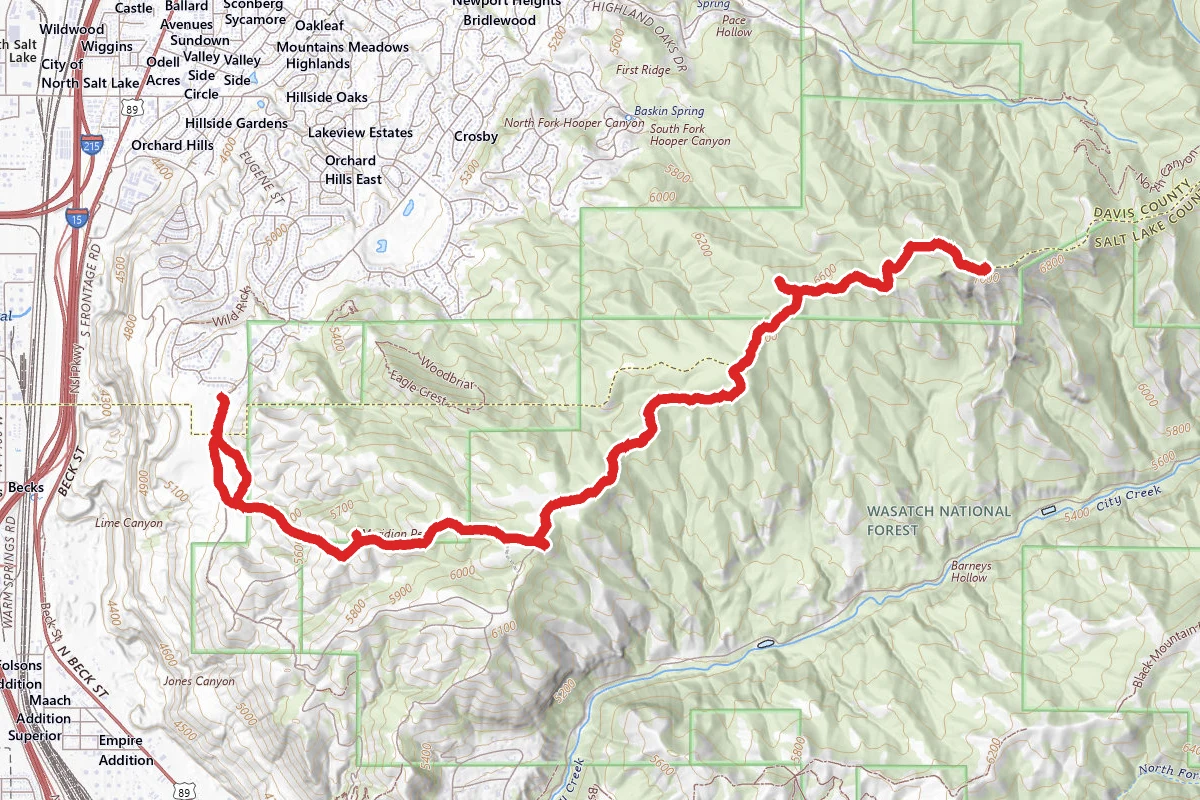 Dude Benchmark Peak Trail
