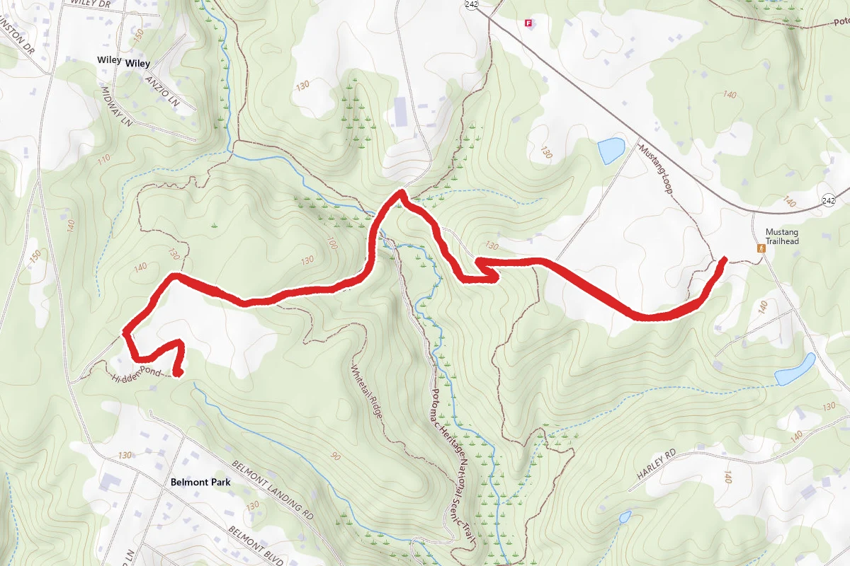 Hidden Pond via Mustang to Wood Thrush to Hidden Pond