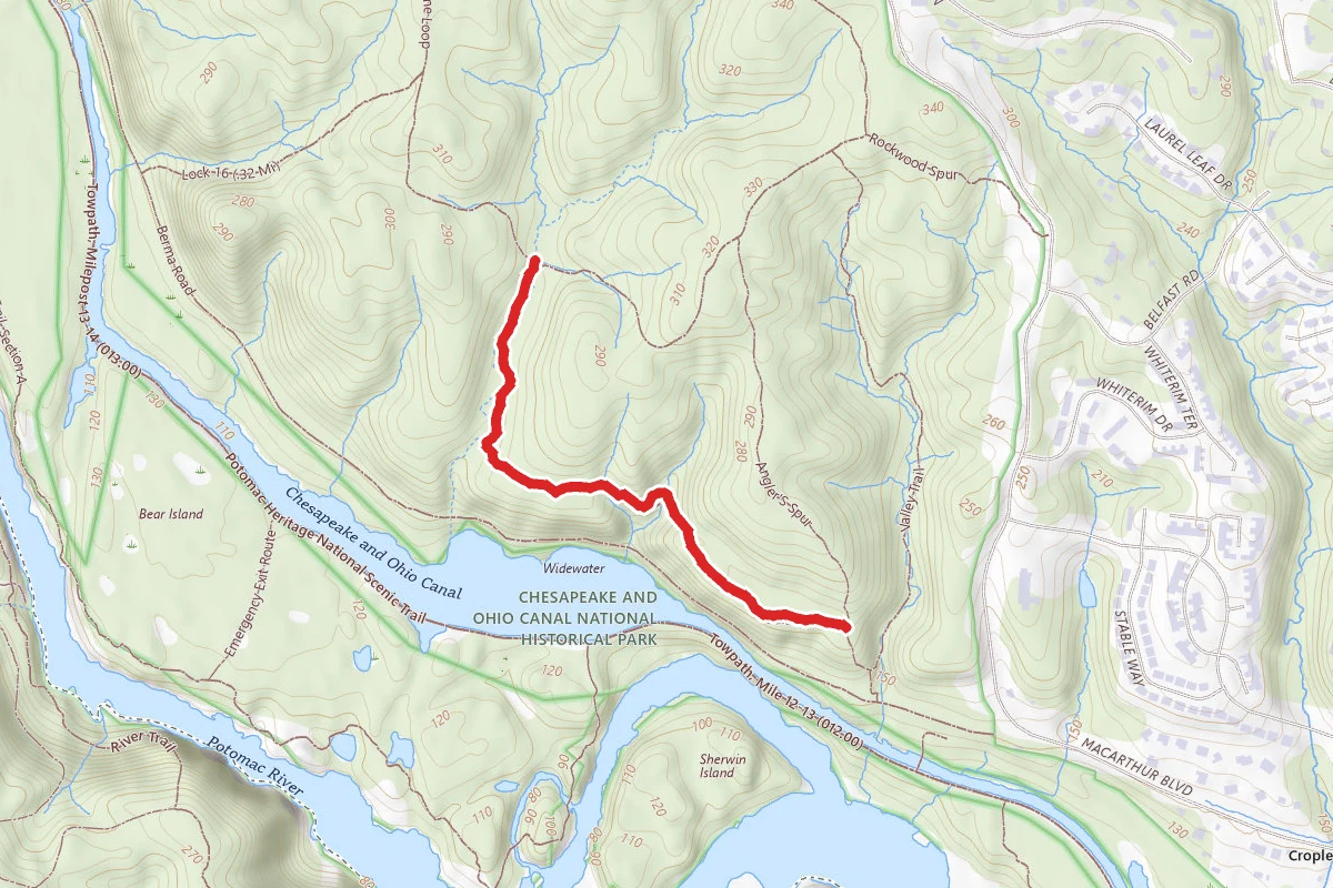 Woodland Trail Loop