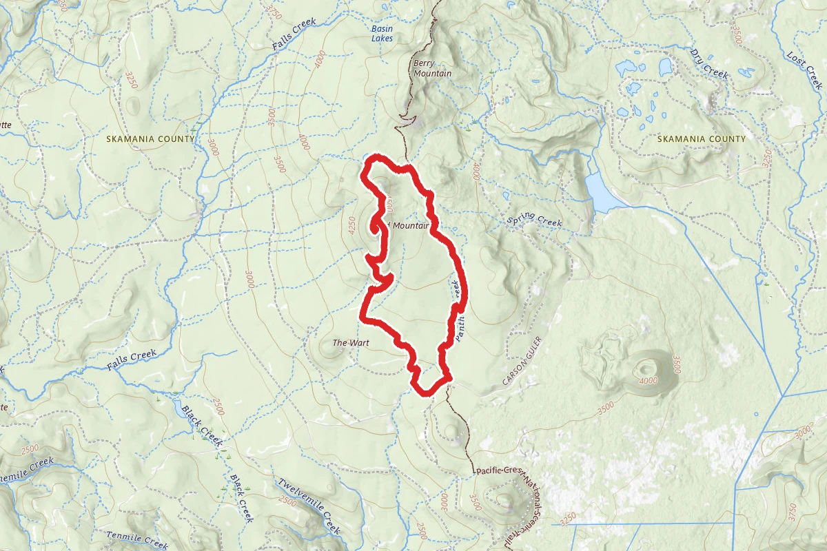 Red Mountain via Pacific Crest and Indian Race Track Loop