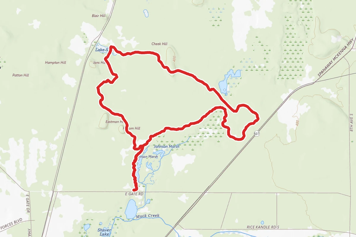 Johnson Marsh