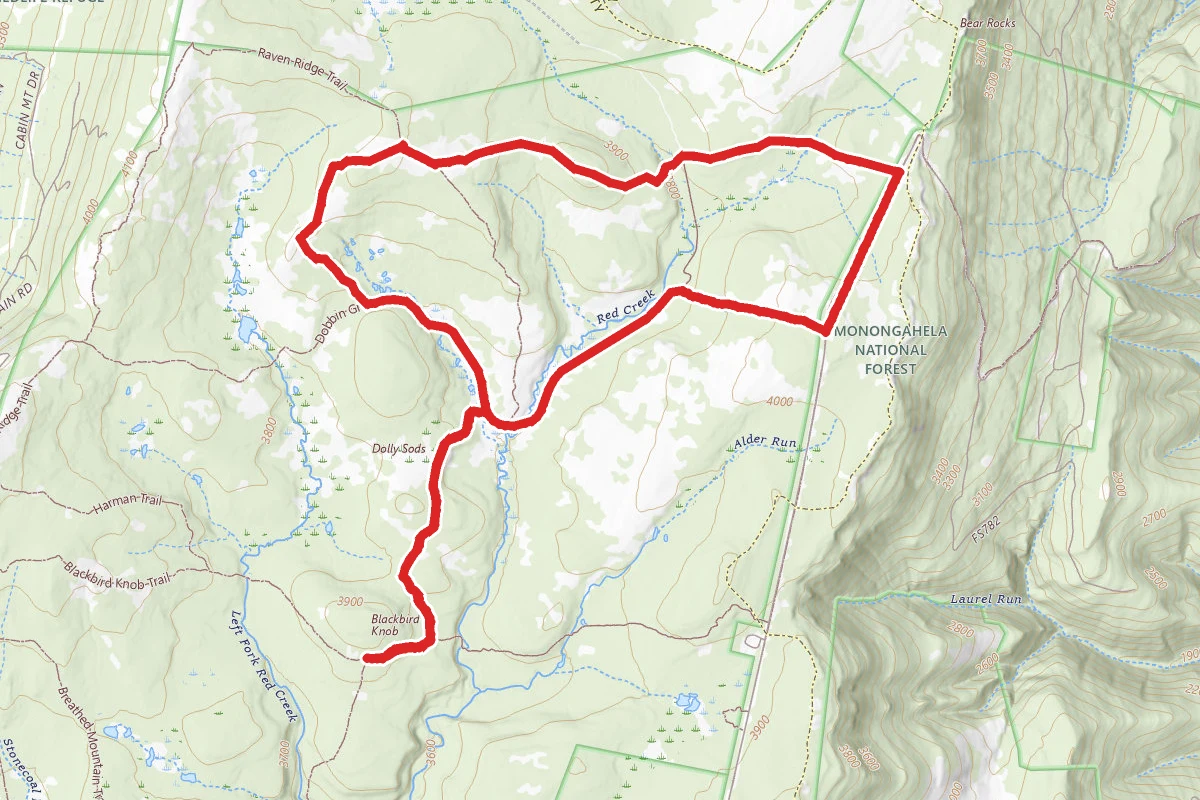 Northern Dolly Sods