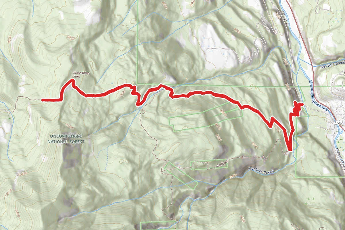 Dallas Trail Ouray Section