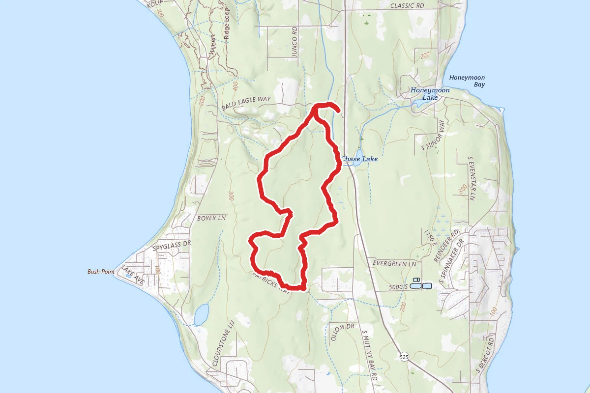 Trillium Community Forest Loop