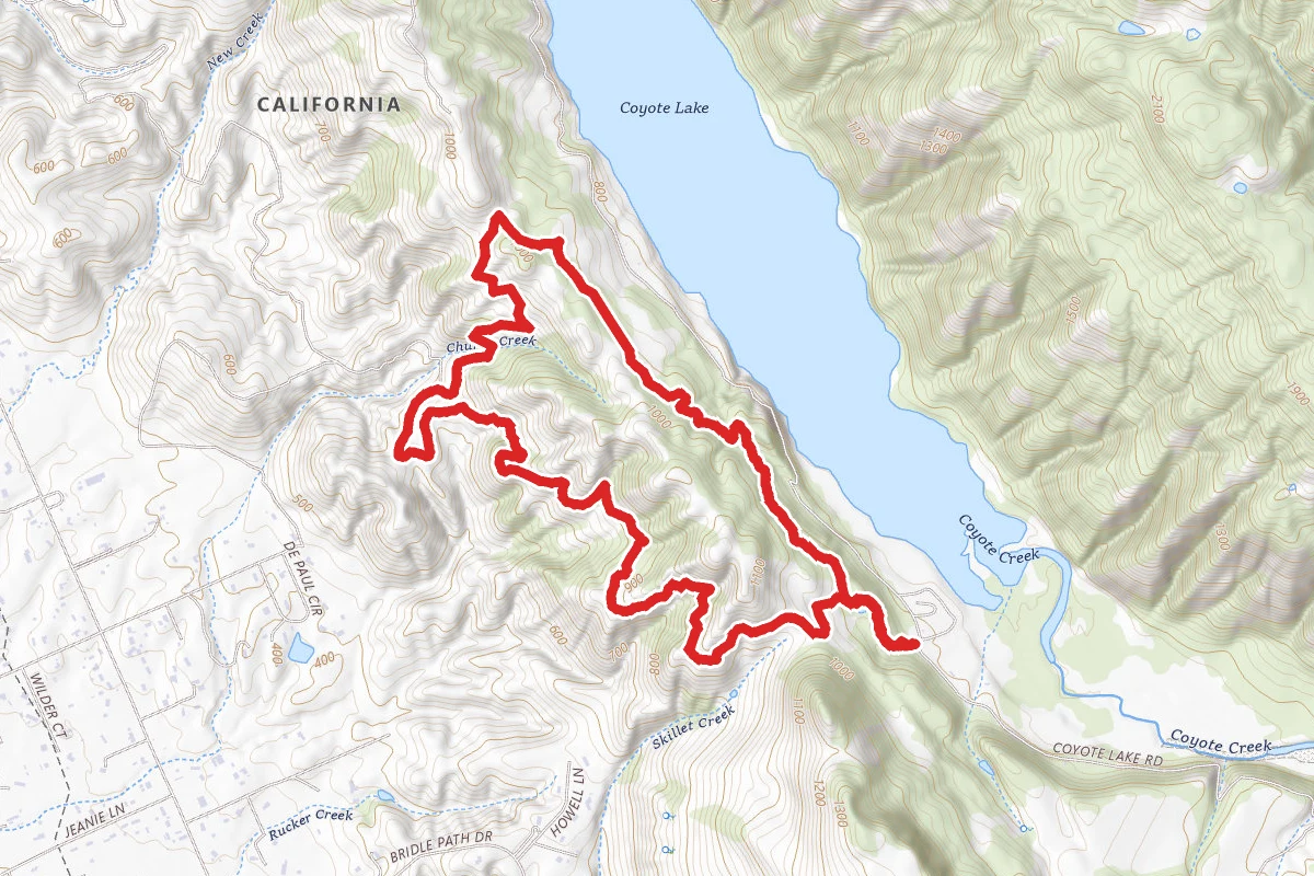 Valley Oak Trail at Coyote Lake