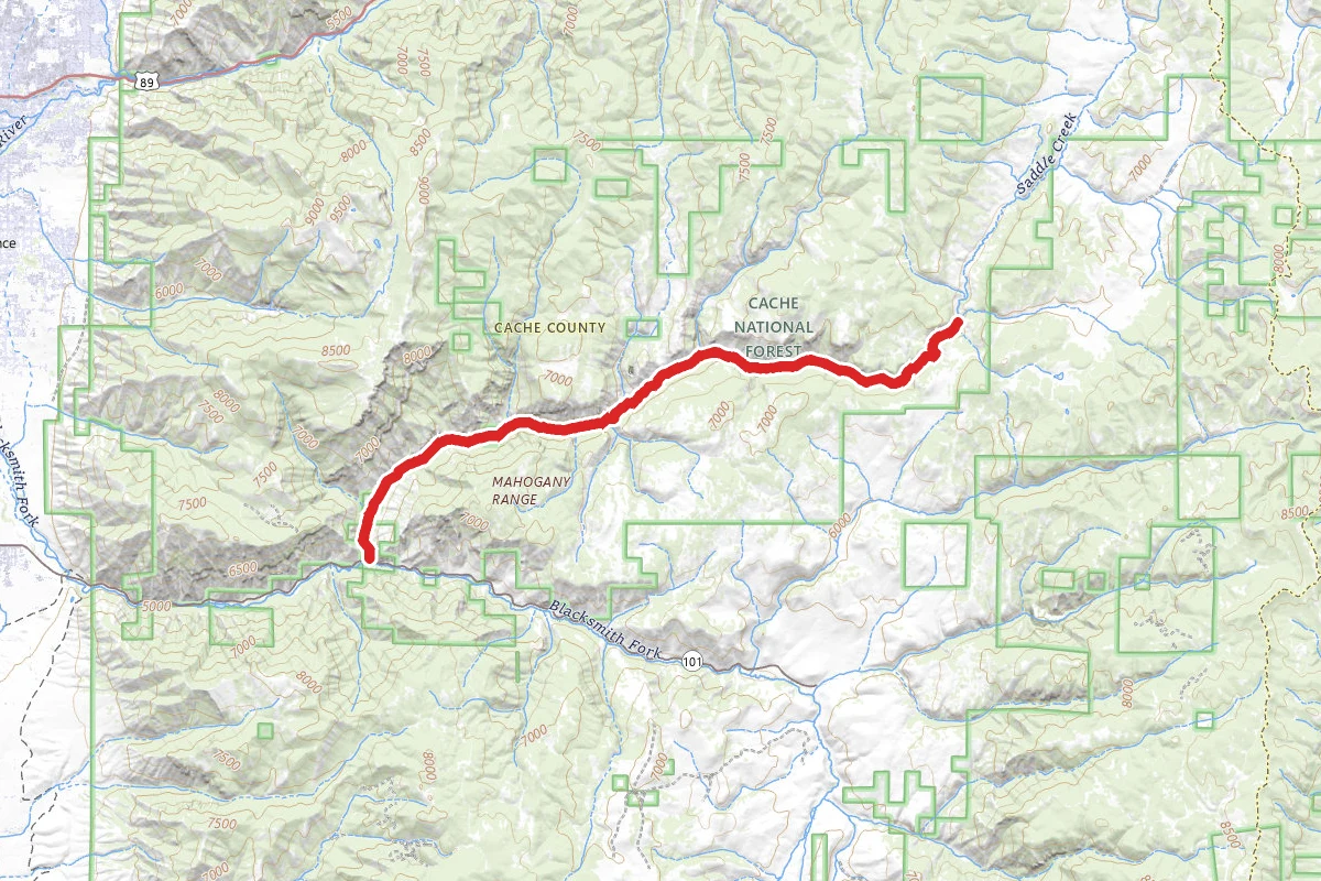 Blacksmith Canyon Left Hand Fork Trail