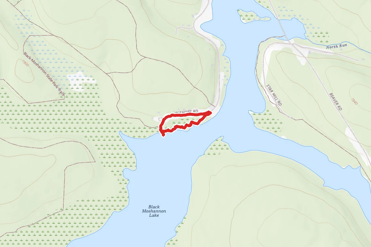 Black Moshannon Bog Trail Loop