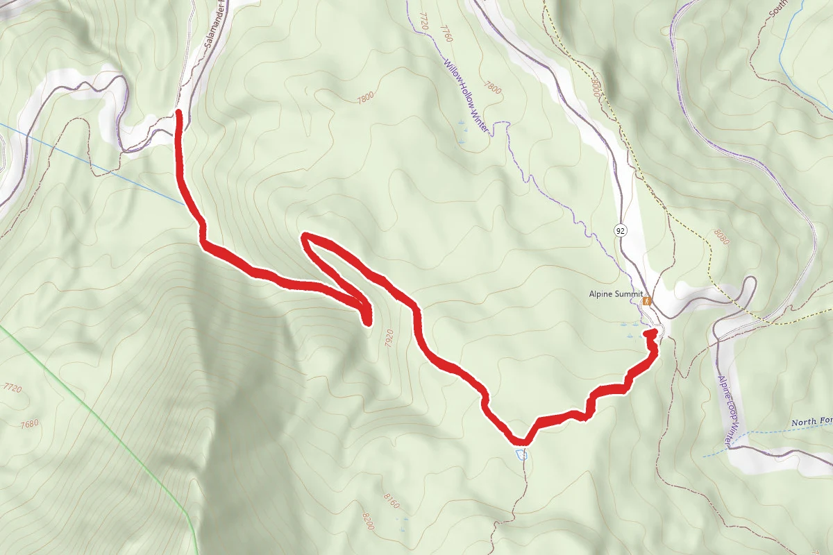 Snow Gauging Trail