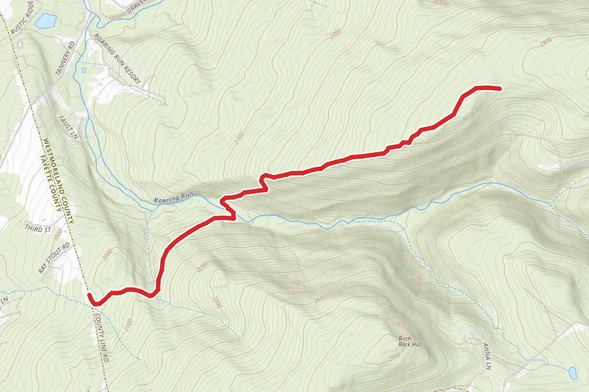 Painter Rock Trail