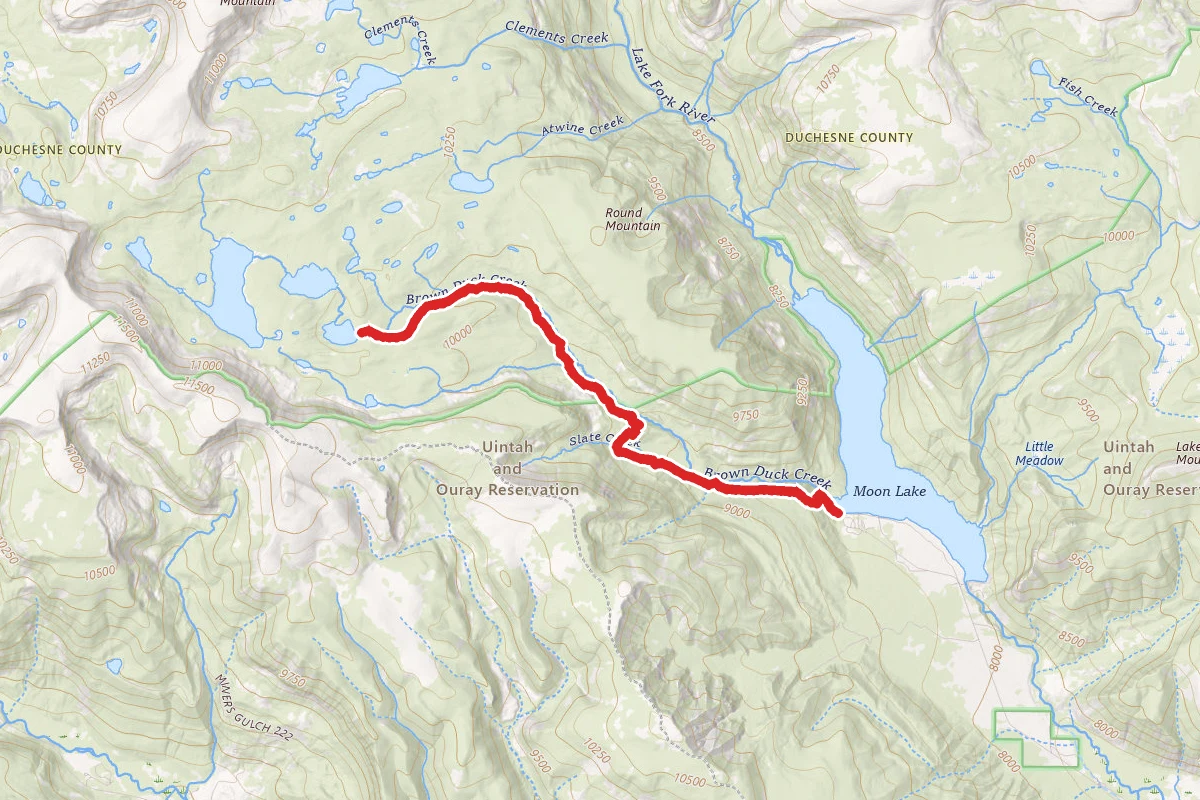 Brown Duck Lake Trail
