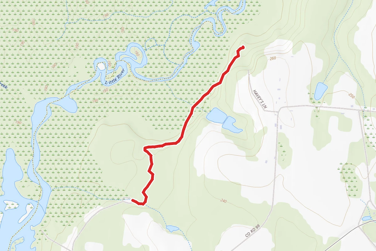 Birdwalk Trail
