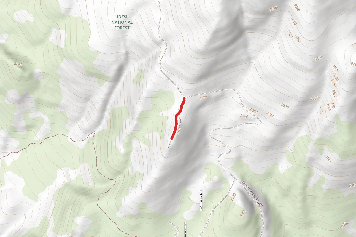 Sierra Viewpoint Trail