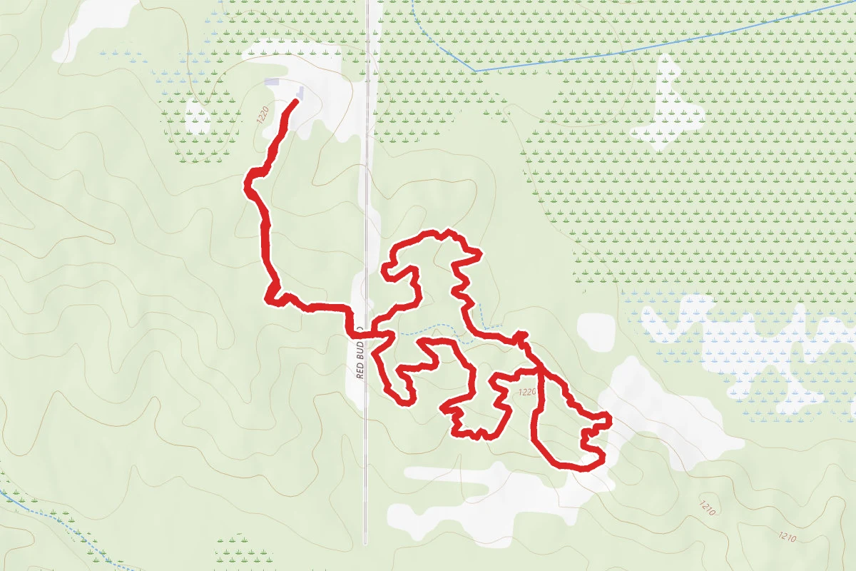 The Pines to Ying Trail and Yang Trail