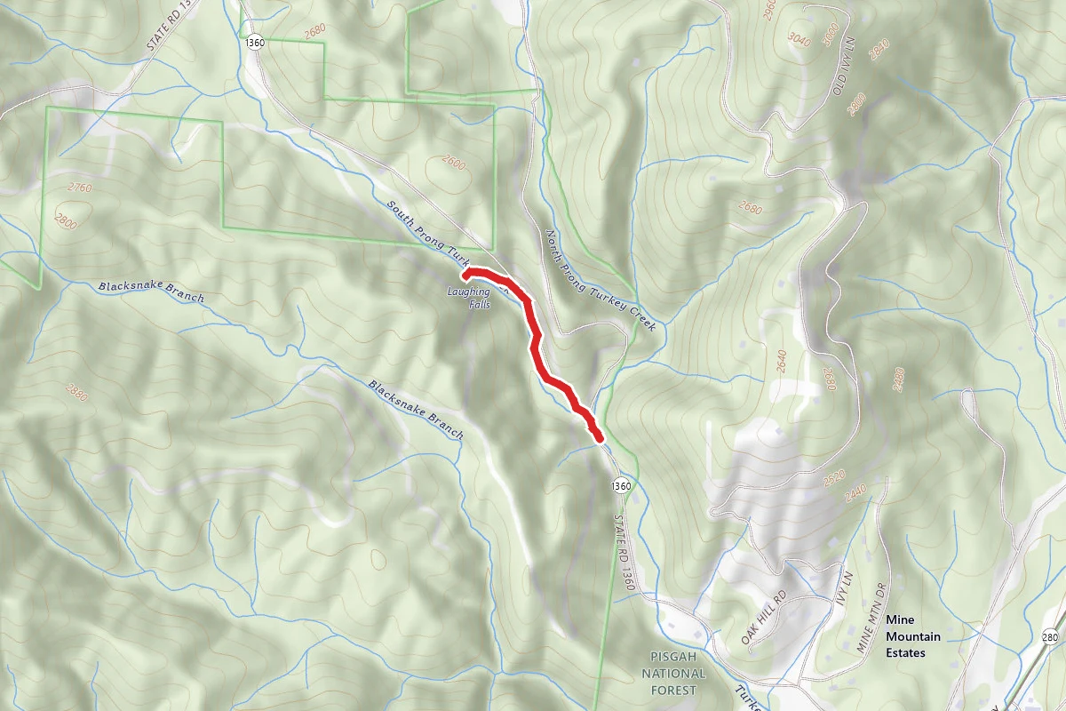 Laughing Falls Trail