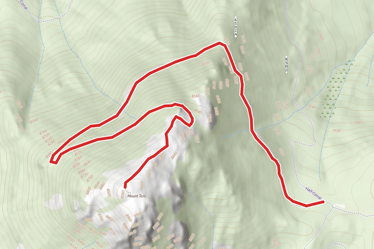Mount Tom Fire Lookout OHV Trail