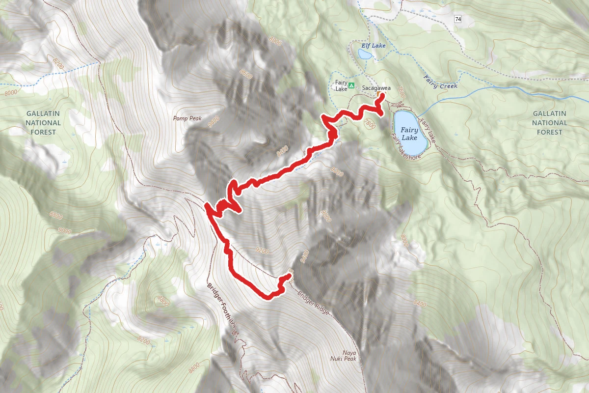 Sacagawea Peak