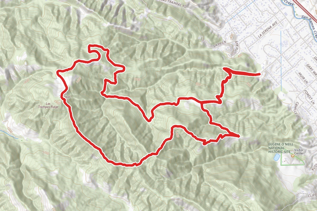 Ringtail Cat, Madrone, Las Trampas Ridge and Corduroy Hills Loop
