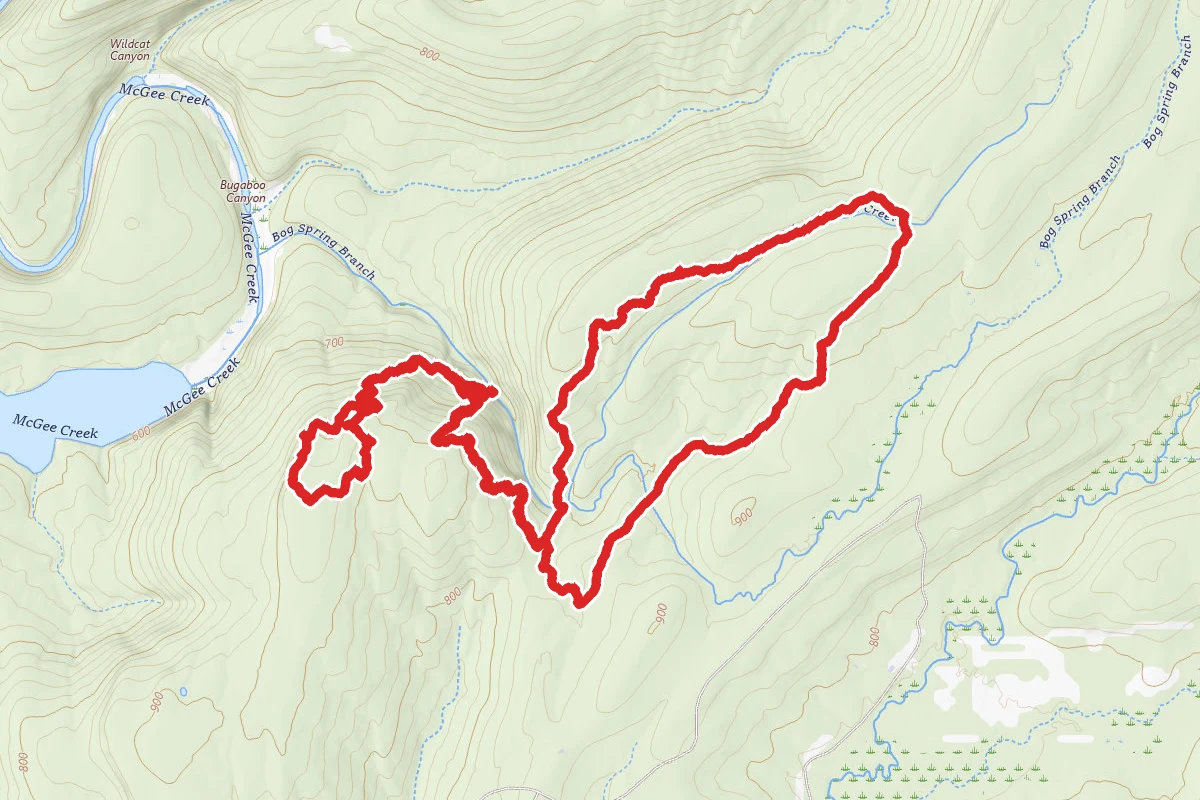 Carnasaw Nature Trail, Rocky Point, Little Bugaboo and South Rim Trail Loop