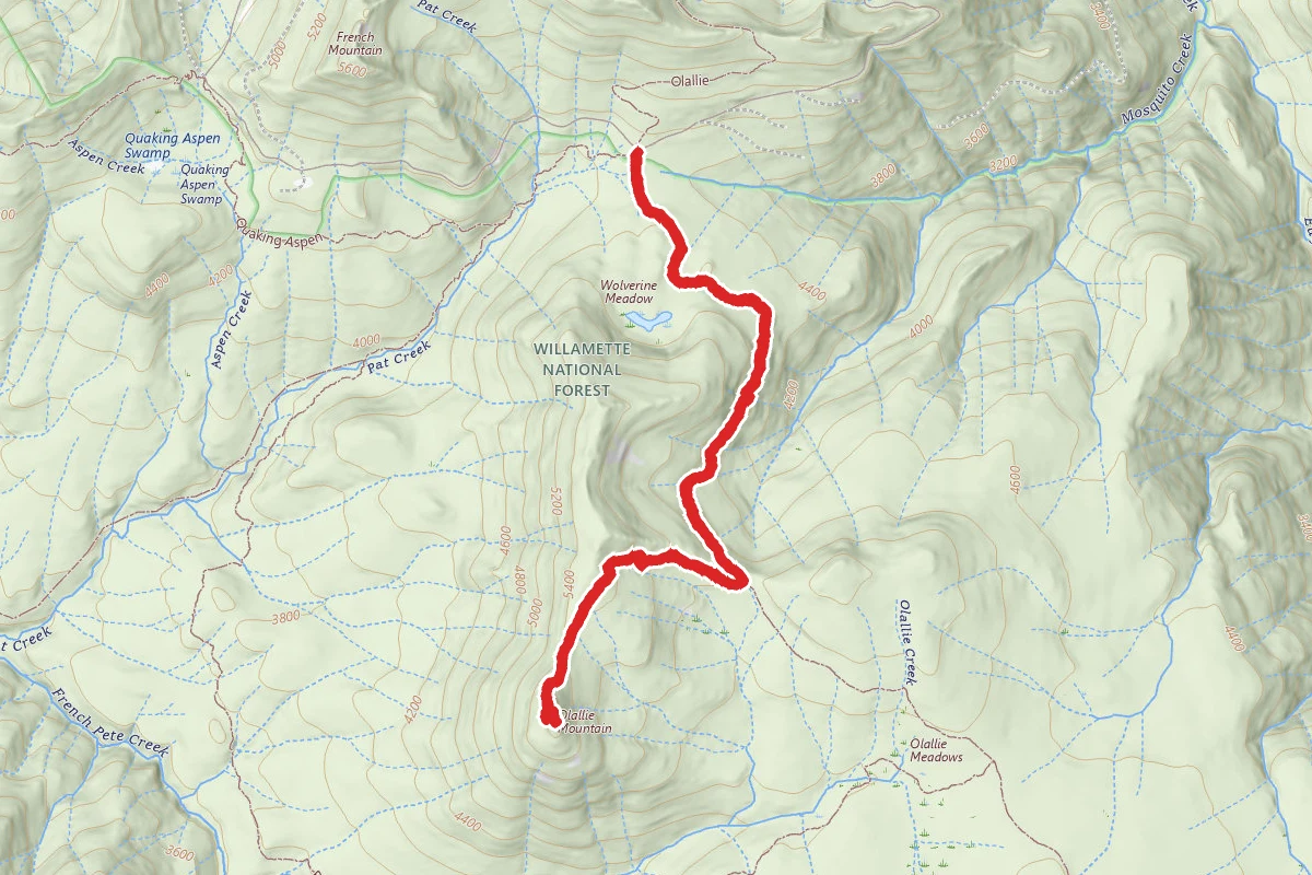 Olallie Mountain Trail