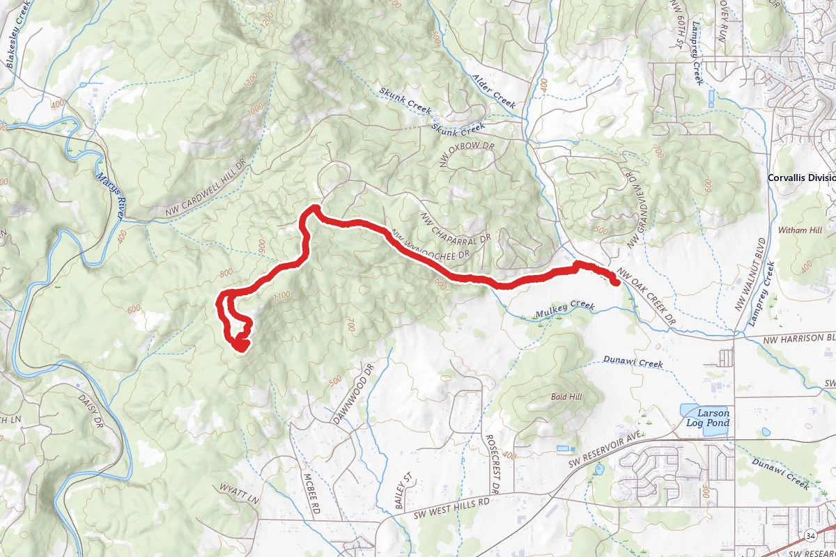 Fitton Green Trail to Allen Throop Loop
